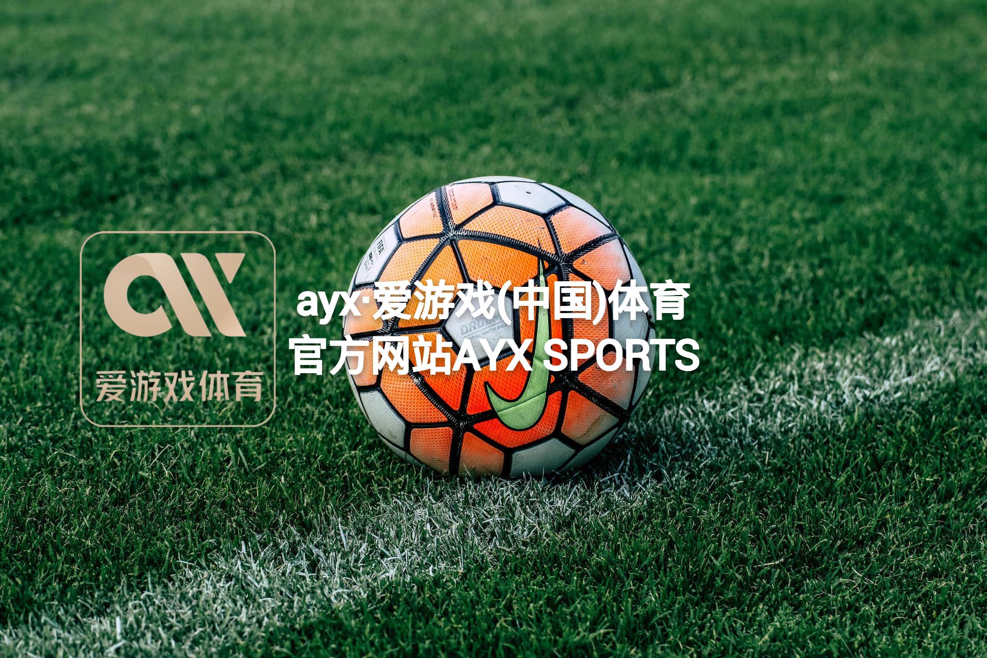 ayx·爱游戏(中国)体育官方网站-AYX SPORTS